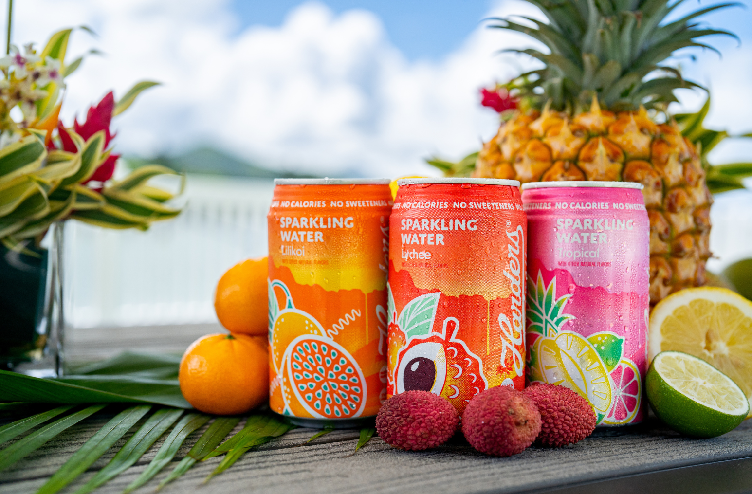 Sparkling Water Variety 6 Pack